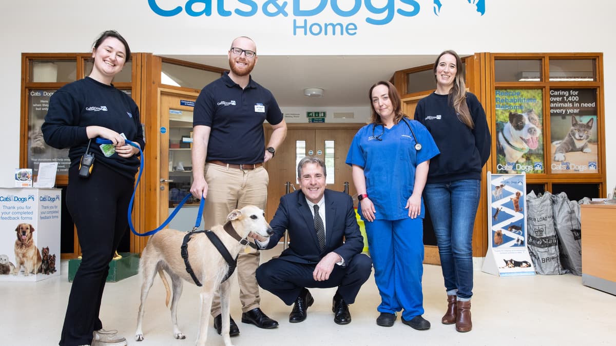 Bath Cats and Dogs Home reach out for support as 120 increase in